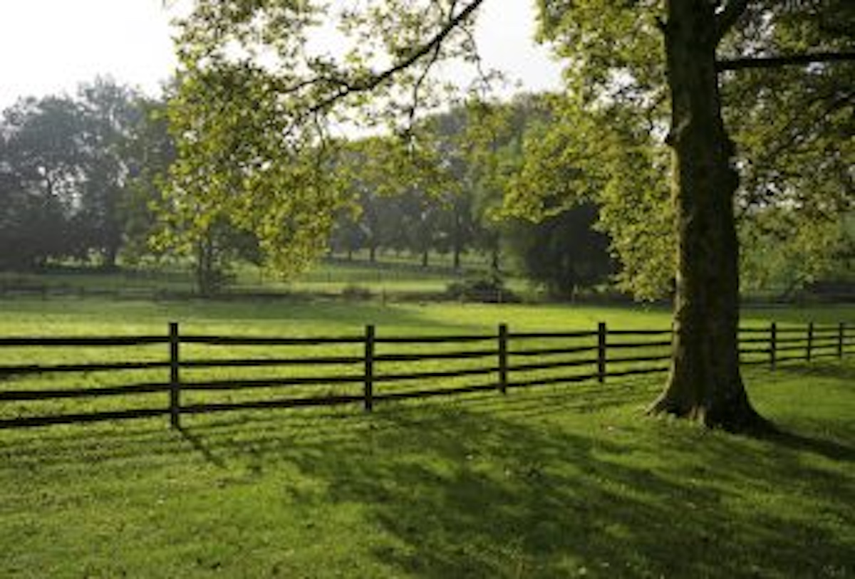 Homesteading After Retirement: Part 2